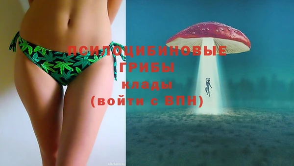твердый Михайловск