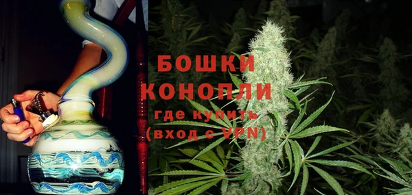 молекула духа Долгопрудный